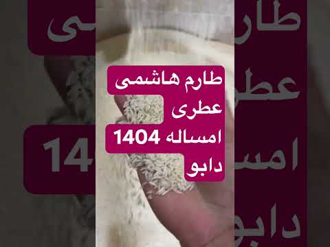 برنج طارم هاشمی عطری امساله 1404 دابو برنج  رستوران  غذا رستورانگردی