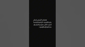 الشيخ ياسر الدوسري سورة السجدة