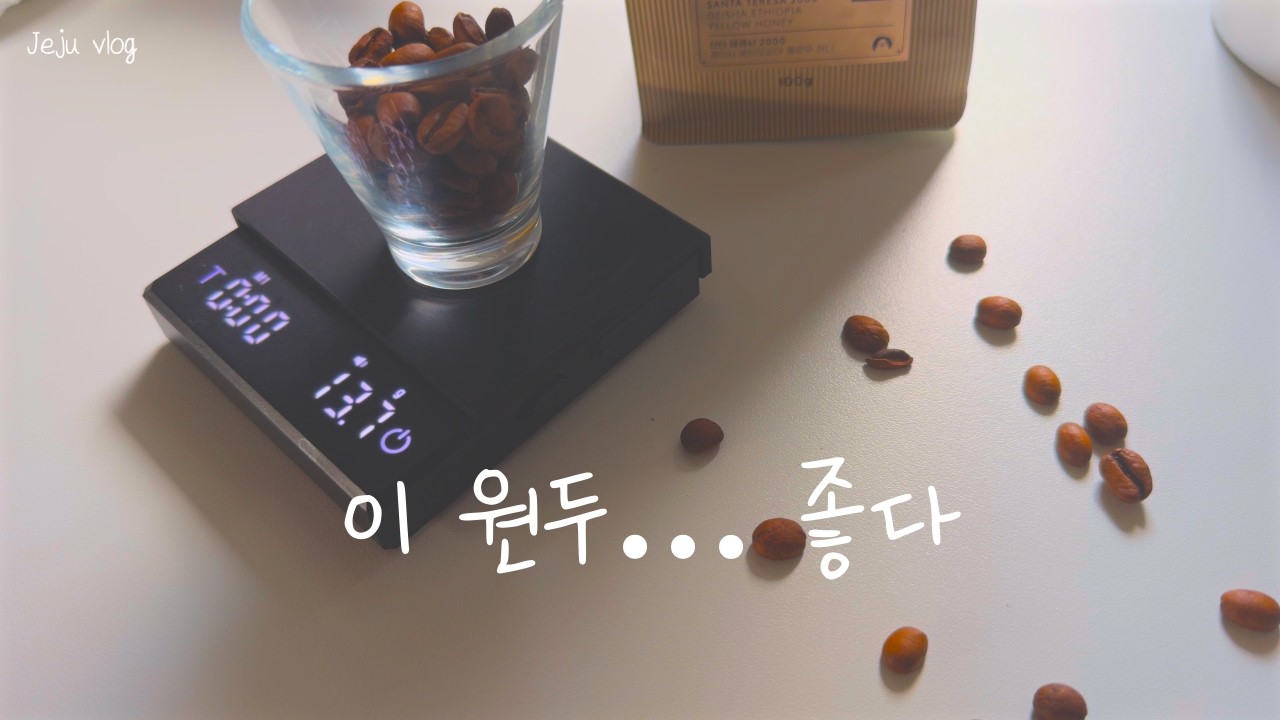 [Jeju vlog] 제주 카페와 집에서 보낸 일상 | 컴플리트커피, 알리오올리오, 고양이 애교