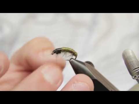 Video: ¿Qué son las larvas de tricópteros?