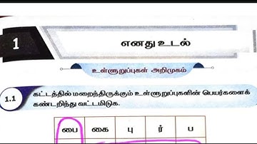 EE 4th std science  term 1 unit 1 Workbook answers tamil medium | My body Workbook answers