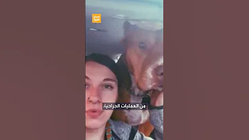 حديث السوشال عضة كلب تتسبب في نمو شعر على أنف فتاة 