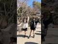 【TikTok】双子で『テトリス/柊マグネタイト』踊ってみた!#shorts #双子 #テトリス