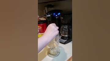 How to Make a Gnat or Fruit Fly Trap