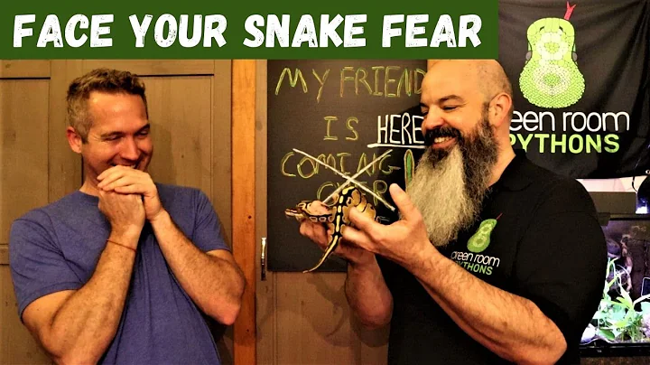 How To Get Over a Fear of Snakes