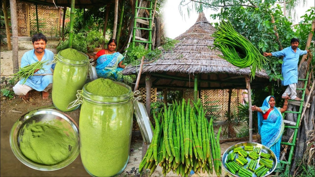 इन पत्तों का पाउडर बनाकर रखे बड़े और बच्चों को खिलाएं  फिर कमाल देखें Moringa Powder For WeightLoss
