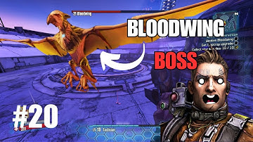 Wildlife Preservation [FINAL] 🔴 | EP-20 | Borderlands 2 Walkthrough | No Commentary