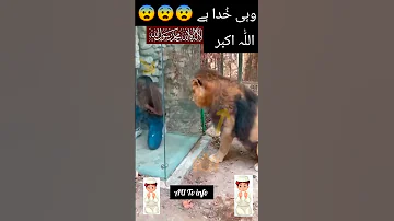 جس ذات کا قرآن میں بھی ذکر نبی ہے وہ میرا نبی میرا نبی ہے Shorts Reels Status Short Islamic 