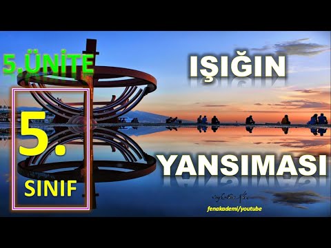 Video: Seni Bir Fizyognomistin Binlerce Yansımasından Tanıyorum