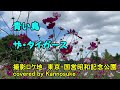 青い鳥 ザ・タイガース 歌詞付きフルカバー