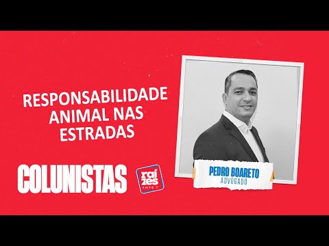 Pedro Boareto: Responsabilidade animal nas estradas