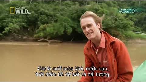 Săn Cá Khổng Lồ Ở Amazon - Thuyết Minh || Thế Giới Động Vật Hoang Dã