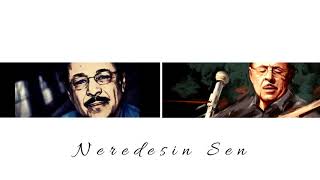 Eren Türk - Neredesin Sen (Neşet Ertaş) Cover Resimi