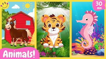 Farm, Wild and Ocean Animals for Kids I Animal Learning with Fun facts! I Our best compilation!