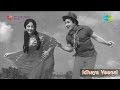 Idhaya Veenai | Kashmir Beautiful song