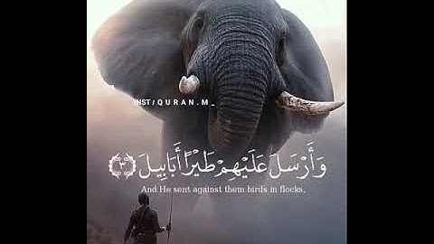 سورة الفيل صوت جميل جدا