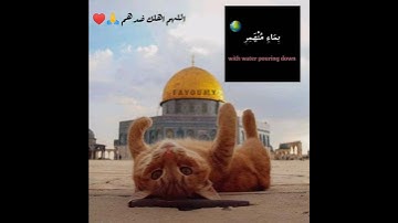 "فَدَعَا رَبَّهُ أَنِّي مَغْلُوبٌ فَانْتَصِر" القارئ فارس عباد 🥺💖