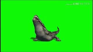 green screen buaya ( crocodile) for konten tutorial