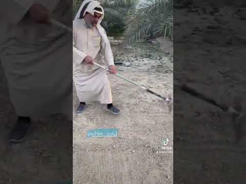 ابن زيد كيف نزرع البرسيم