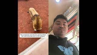 Httpsyoutubecomshortsfwdlpzzfgwisiq0tvomlw1g0pp5mk Youtube New Trending  Bishalmagar88