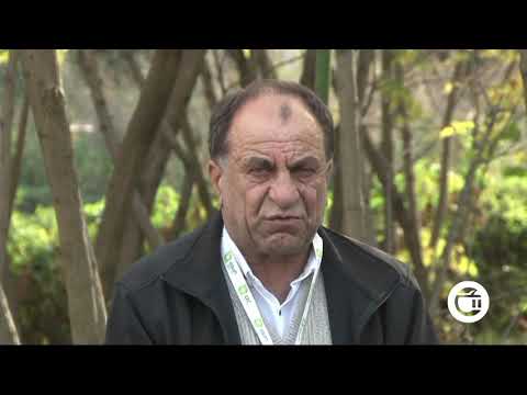 არჩევნებზე რა დარღვევები დაფიქსირდა  თელავში?