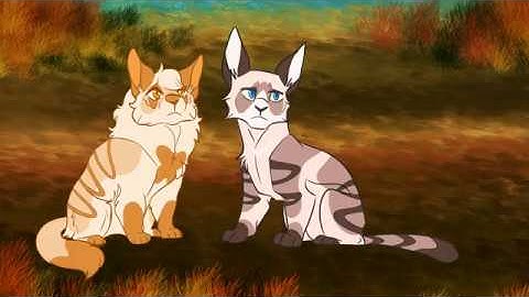 The Other Side Of Paradise - Hawkfrost MAP - Part 1