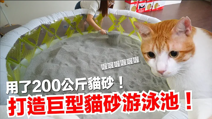 用200公斤猫砂！打造巨大猫砂游泳池！好味小姐开心新系列【傻眼猫咪】EP1 - 天天要闻