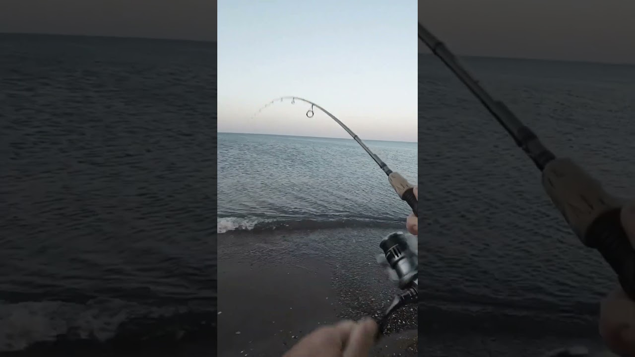 LRF ile Akya Avı #fishing #fish #balık #balık #deniz #automobile #levrek #fishinglife #mersin #akya