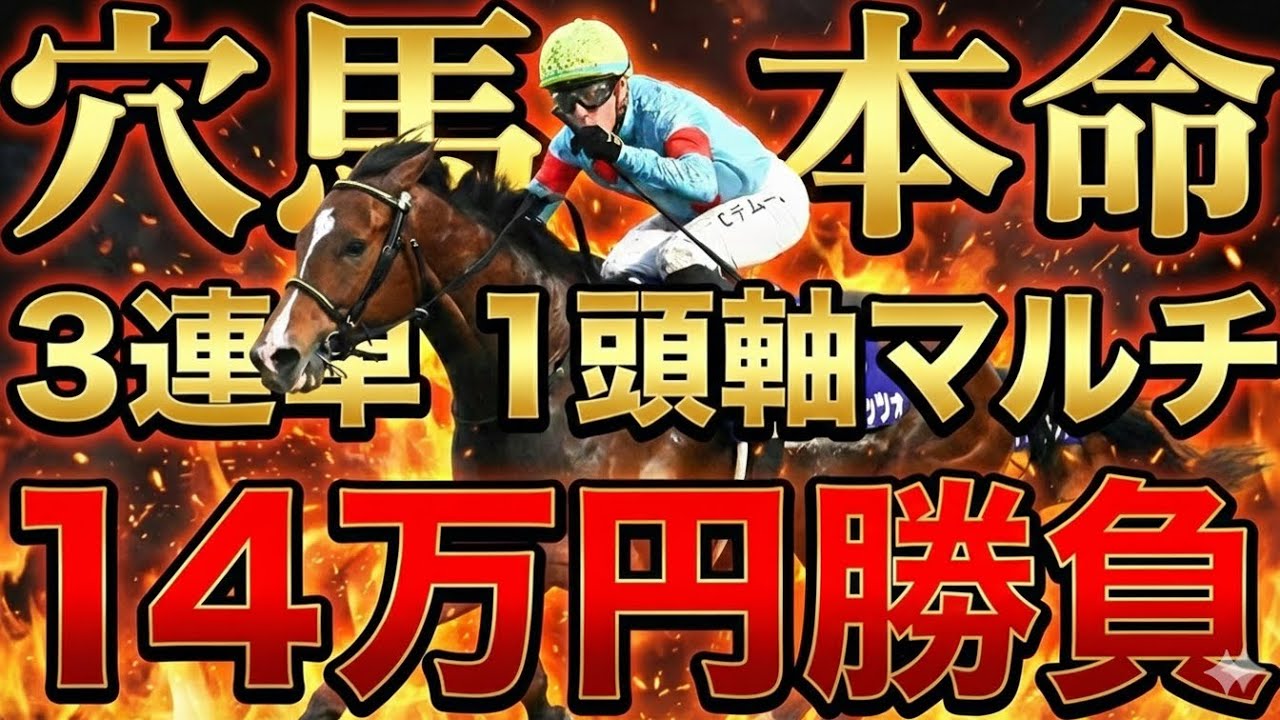 【覚悟の14万円】阪神競馬、土日全レース勝負、本命は穴馬！3連単1頭軸マルチ相手5頭で一撃を狙う 【競馬馬券勝負】