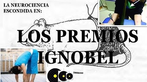 La neurociencia escondida en LOS PREMIOS IGNOBEL (2016)
