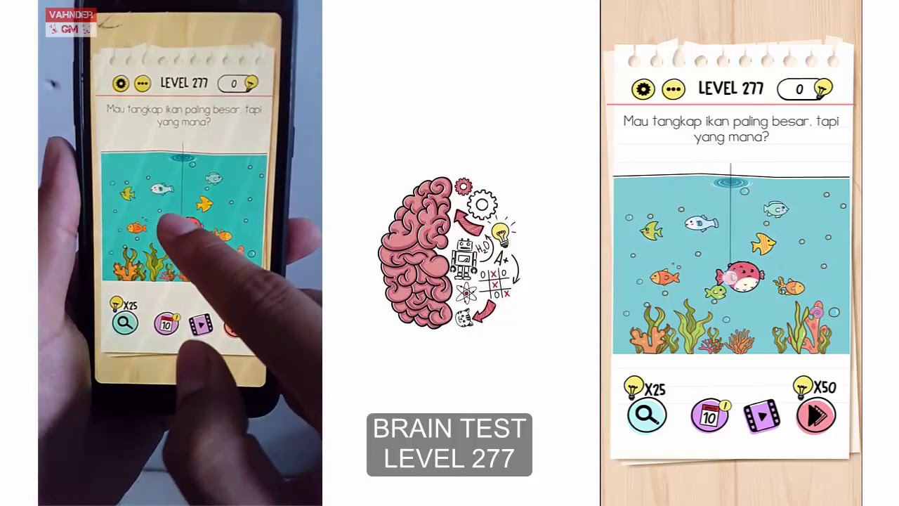 Brain test ответы 3