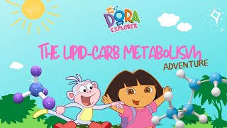 The Lipid-Carb Metabolism