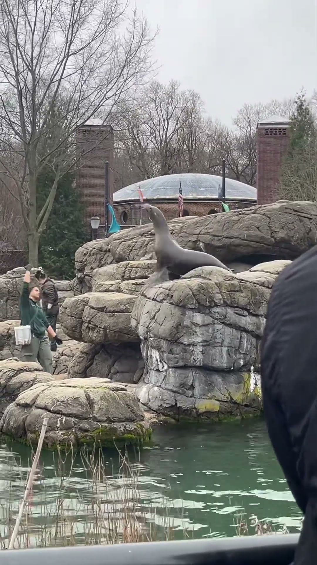 Prospect Park Zoo prospectparkzoo prospectparkbrooklyn familytime Prospect Park Zoo prospectparkzoo prospectparkbrooklyn familytime