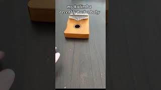 A baby kalimba #musicalinstruments #kalimba #music