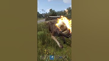 random changes to rust this past week