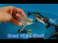 Sea animals toys educational vocabulary learning Shark Humpback whale Orca Octopus megalodon bath