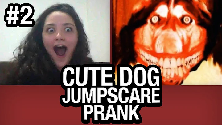 Cute Dog JUMPSCARE PRANK on Omegle #2!