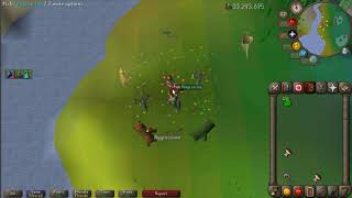 OSRS - Filling Druidic Pouch