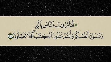 سورة البقرة ٣٩-٥٣ | الشيخ محمد شعبان أفندي