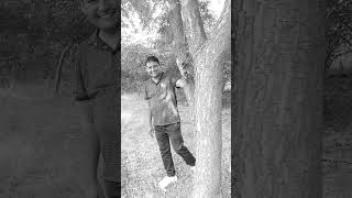 Chal Akela Chal Akela Tera Melaold Sonddhd1969Shortfeedviralytshort