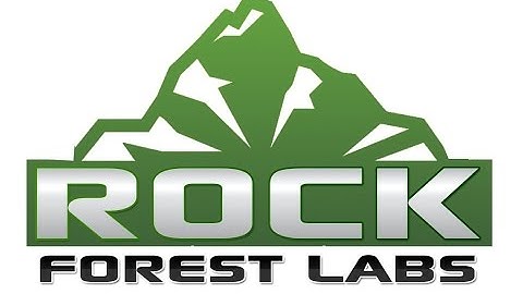 DNS   DHCP Lab with Packet Tracer