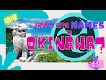 What's Up With Okinawan Names? - A Language History