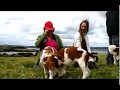 A Welshy Weekend - Welsh Springer Spaniel Dogs in Cornwall の動画、YouTube動画。