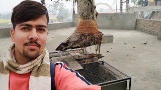 Samadha Mandir Haryana || Flying Tree In Haryana || Samadha Mandir Hansi || Hansi