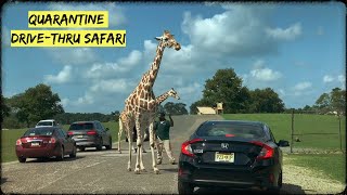Six flags wild safari drivethru adventure, Jackson NJ