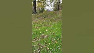 #Rc cars #Arrma #kraton 6s #bashing