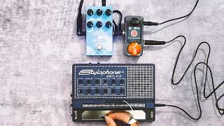 Epic Budget Ambient Tones // Stylophone Gen X-2 | M-Vave Mini Universe | Tc Electronic Mini Ditto+