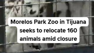 Morelos Park Zoo in Tijuana seeks to relocate 160 animals amid closure
