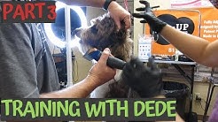 I'm a Fire Fighter I need help grooming my Aussiedoodle PT3