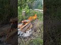 July campfire 2023